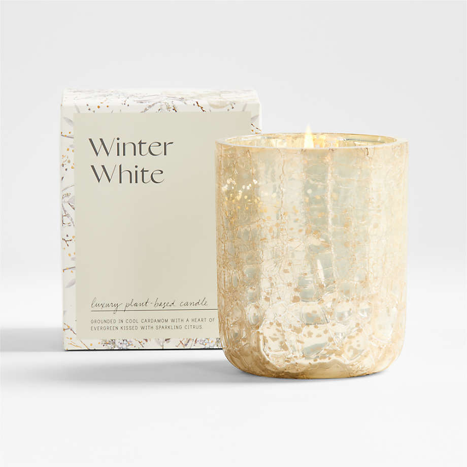https://cb.scene7.com/is/image/Crate/WinterWhiteGlsCandleSmlSSF23/$web_pdp_main_carousel_med$/230613155821/illume-small-winter-white-holiday-scented-candle.jpg