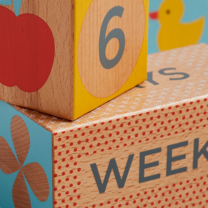 Wooden Milestone Baby Blocks - image 3 of 6