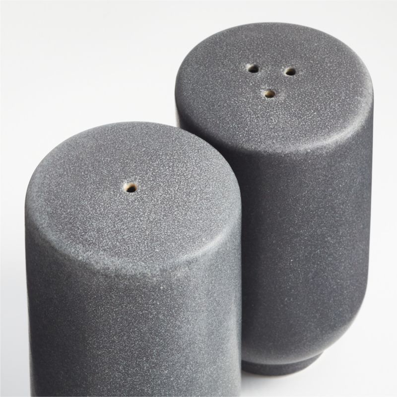 Wren Salt and Pepper Shaker Set - image 1 of 2