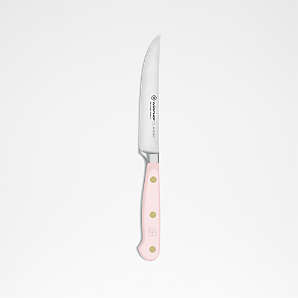 Jean Dubost 6 Eco-Friendly Steak Knives Pink Handles in Block