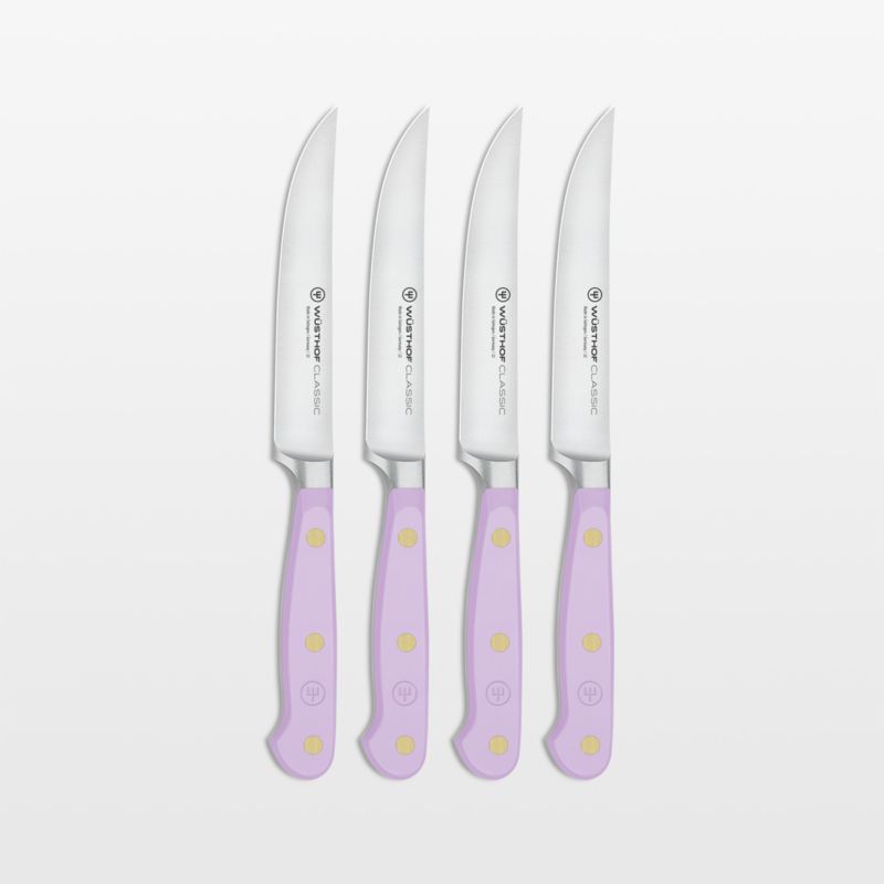 Kyocera 4-piece Ceramic Steak Knife Set, 4.5 White