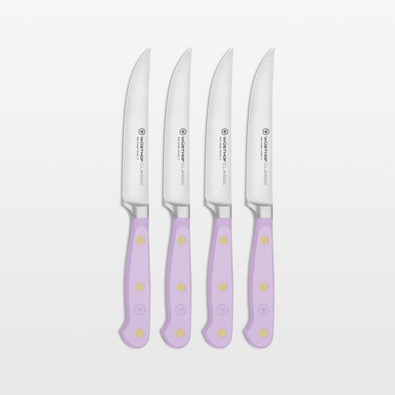 Kyocera 4-Piece Ceramic Steak Knife Set, 4.5 Black/White