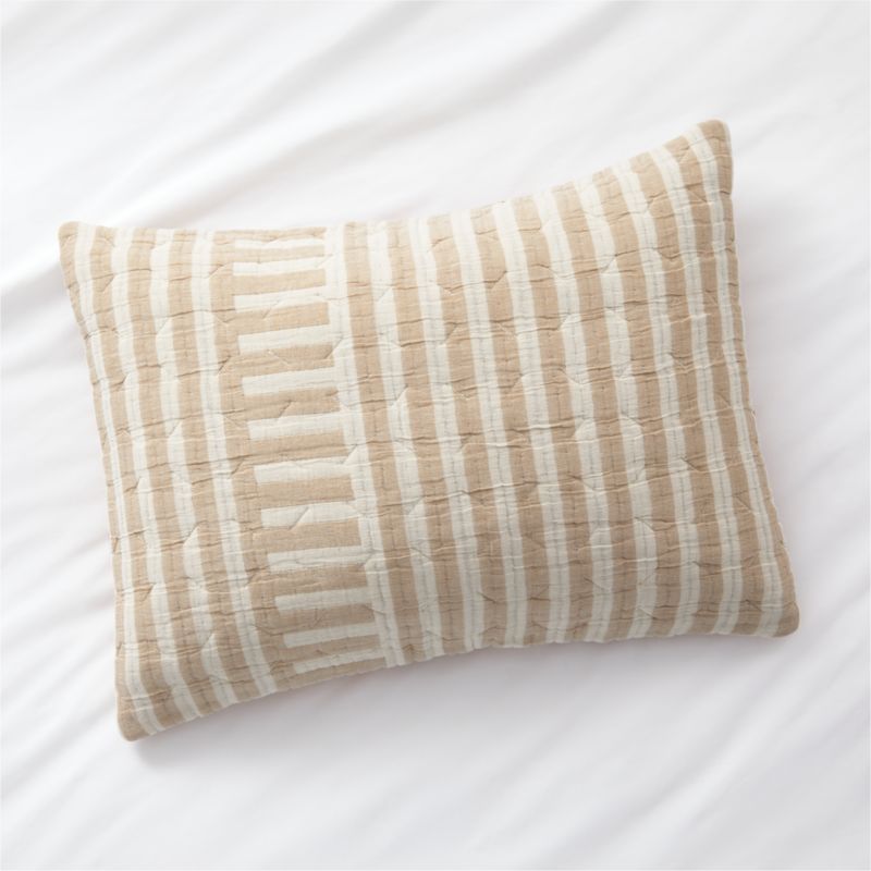 Yucatan Terracotta Stripe Euro Sham - image 1 of 4