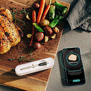 Crate & Barrel by Taylor Digital Wired Probe Thermometer + Reviews