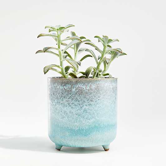 Zea Small Blue Footed Planter