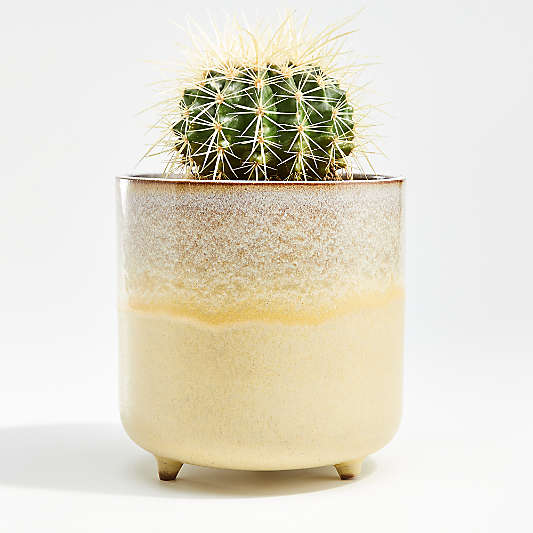 Zea Medium Yellow Footed Planter