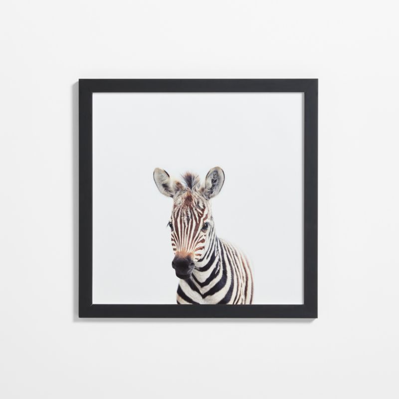 Baby Zebra Black Wood Framed Wall Art Print - image 0 of 7