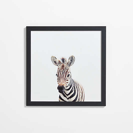 Baby Zebra Black Wood Framed Wall Art Print