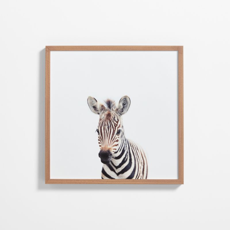 Baby Zebra Walnut Wood Framed Wall Art Print - image 0 of 7