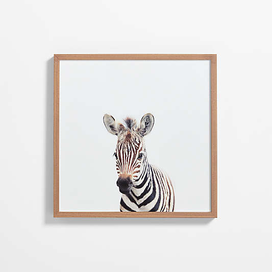 Baby Zebra Walnut Wood Framed Wall Art Print