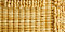 New! Savannah Yellow
