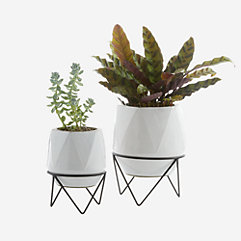 Small Space Patio Outdoor Furniture & Outdoor Decor | Crate & Barrel