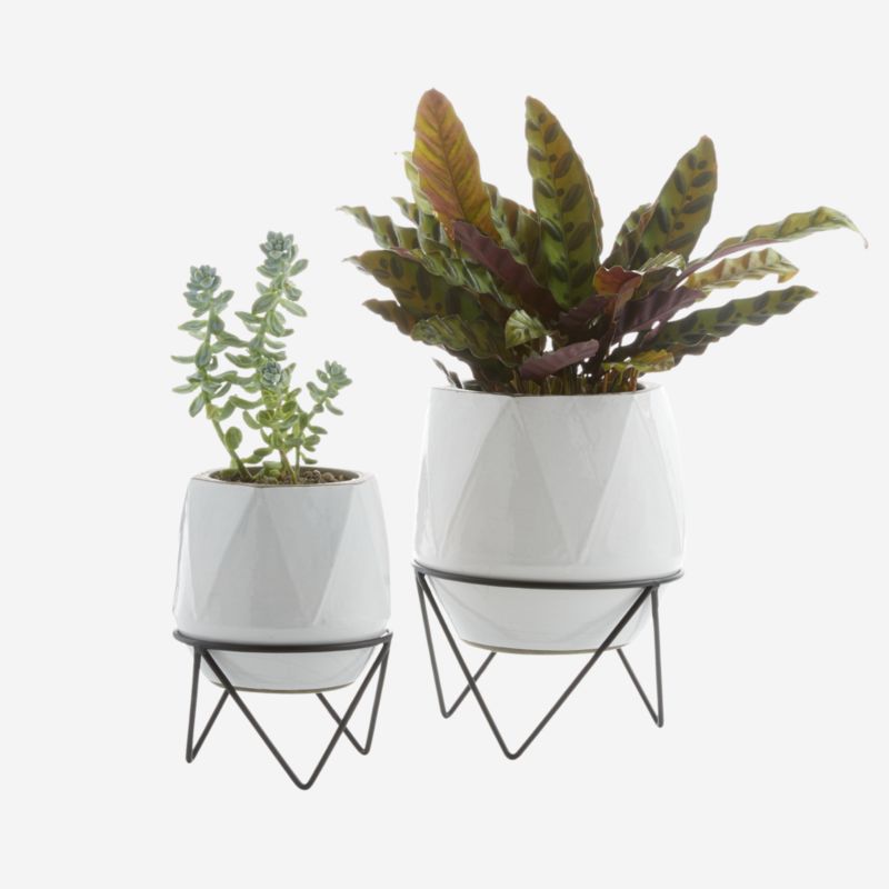 Planters & Decor