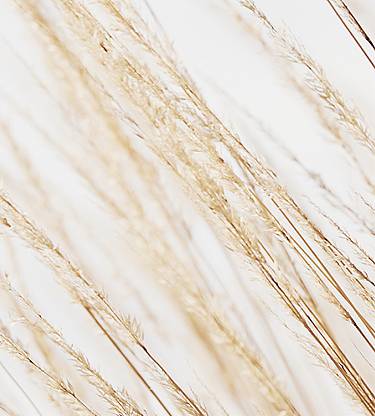 Sale 2022: Exclusive Deals & Limited Time Sale | Crate & Barrel