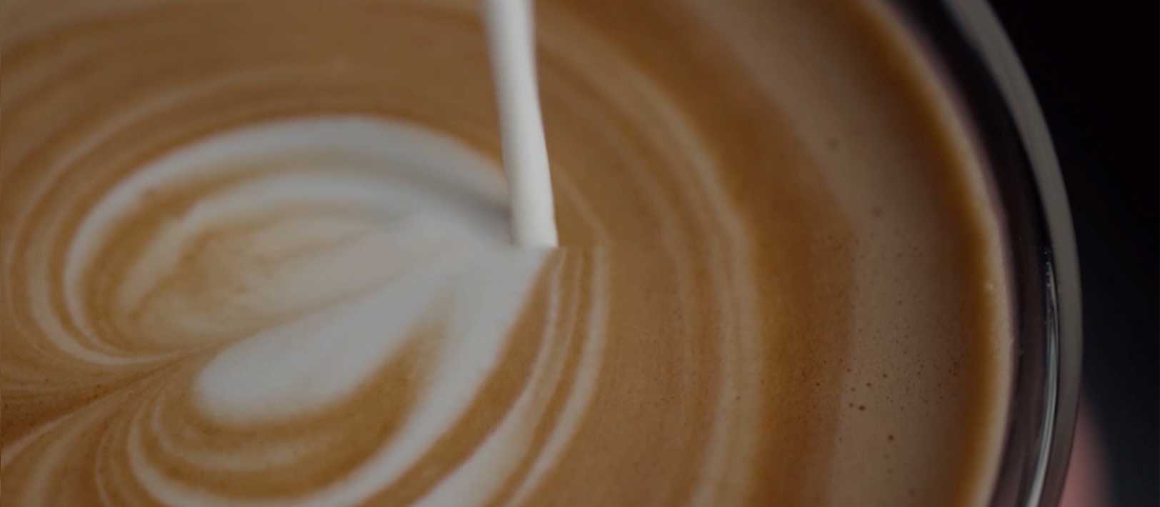Learn More about Breville Video
