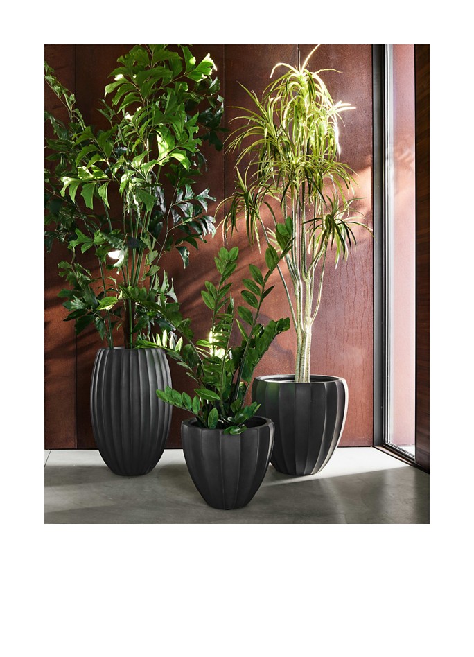 Shop Planters