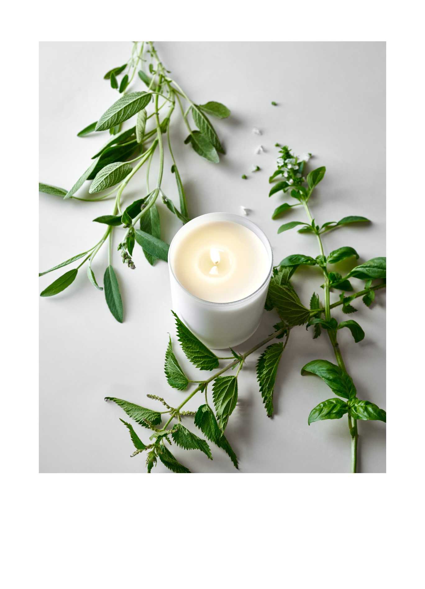 Shop Holiday Candles