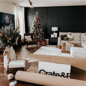 Crate and barrel christmas outlet