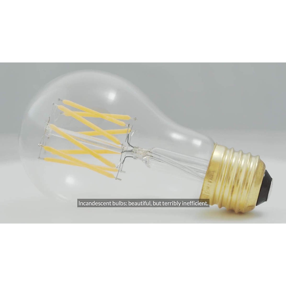 Tala gaia light store bulb amazon
