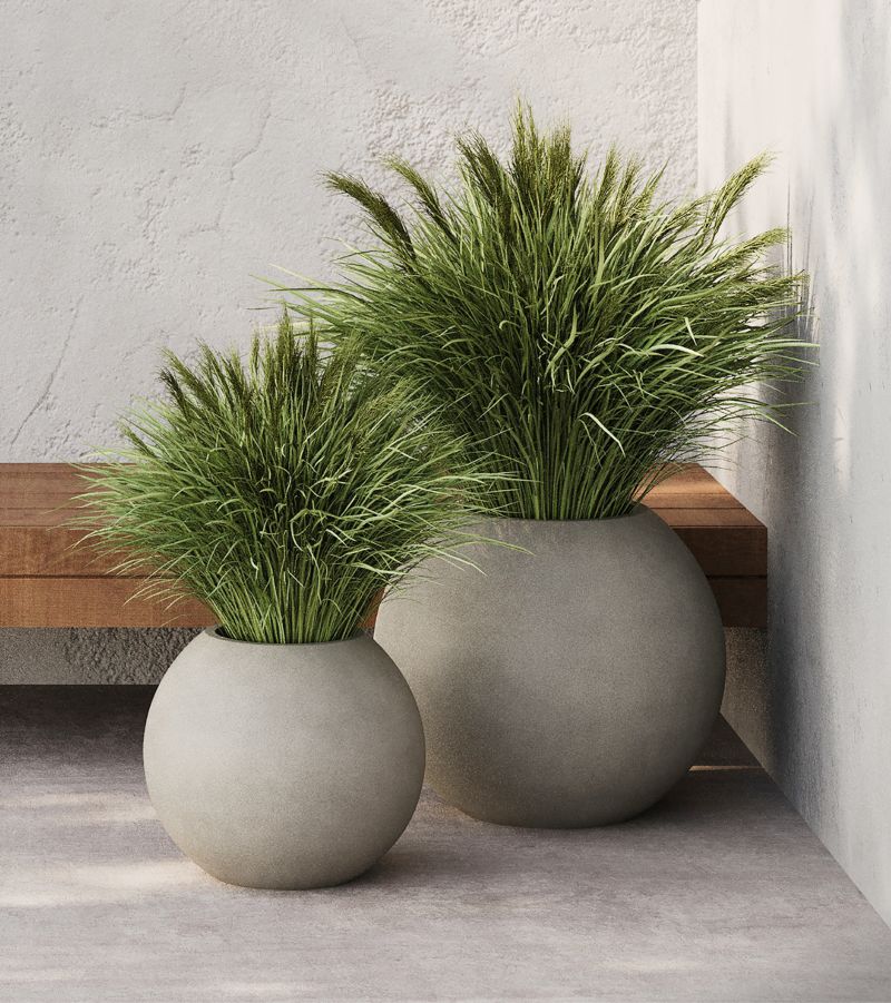 Shop outdoor decor