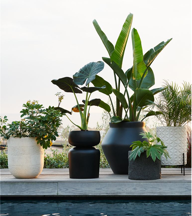Square Tall Plant Pot Elegant Large Flower Indoor Outdoor Garden