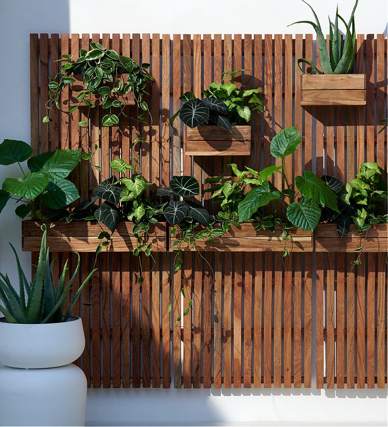 The perfect plant drying rack for your patio. If you want a French