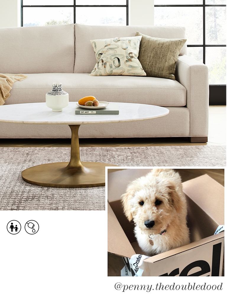 Pet Friendly Upholstery Crate Barrel, Pet Friendly Material For Sofa