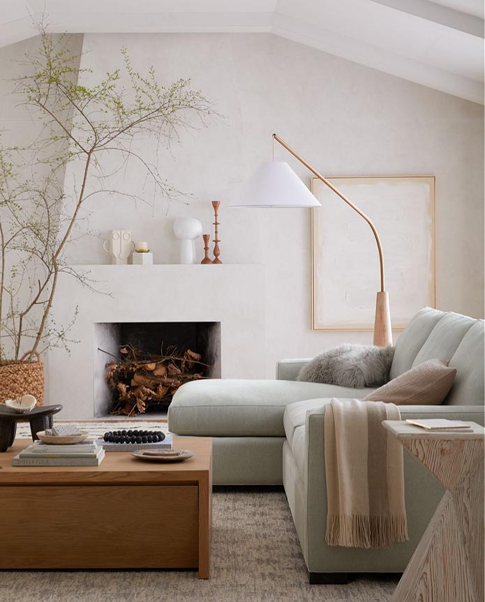 Crate And Barrel Living Room Ideas Baci Living Room