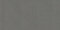 Canvas: Charcoal