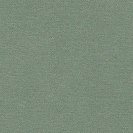 Zoom Sunbrella Canvas Fabric in Spa
