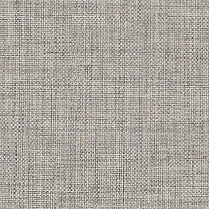 Zoom Galaxy Fabric in Ash