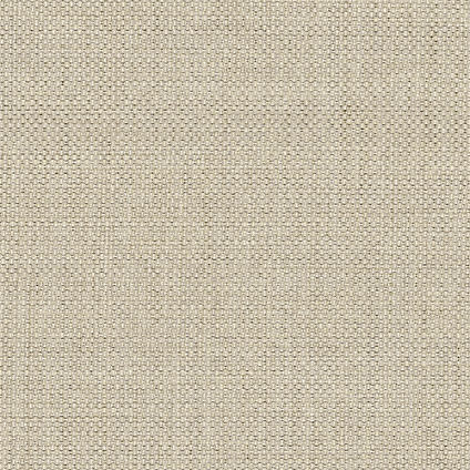 Zoom Galaxy Fabric in Linen
