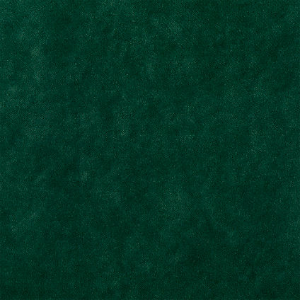 Zoom Variety Fabric in Forest