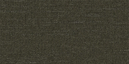 Zoom Curious Fabric in Fossil