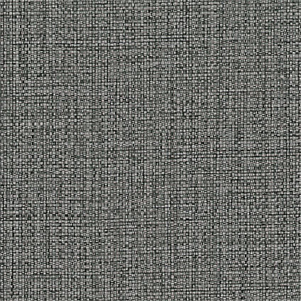 Zoom Galaxy Fabric in Carbon