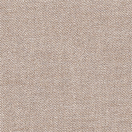 Zoom Tribute Fabric in Dune