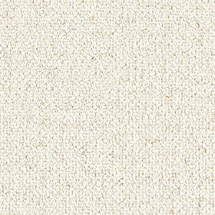 Zoom Bliss Fabric in Cloud