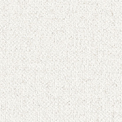 Zoom Bliss Fabric in Cloud