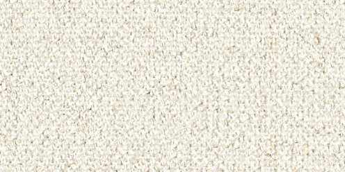 Zoom Bliss Fabric in Cloud