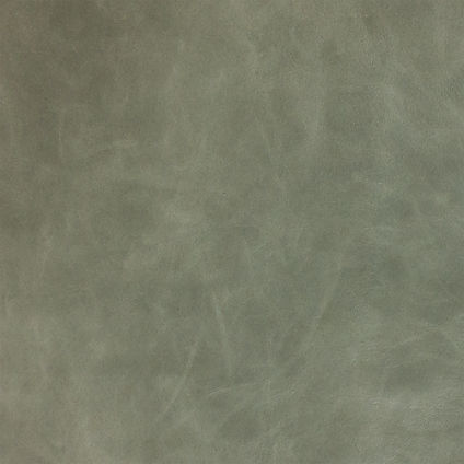 Zoom Taurus Leather in Fern