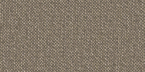 Zoom Thrive Fabric in Shadow