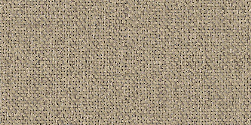 Zoom Thrive Fabric in Taupe