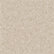 Shelly Champagne