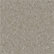 Shelly Grey