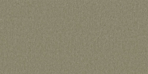 Zoom Covet Fabric in Olive