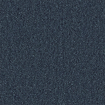Zoom Mystic Fabric in Midnight