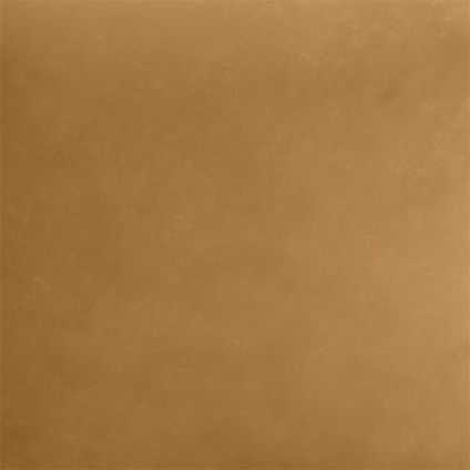Zoom Triad Leather in Camel