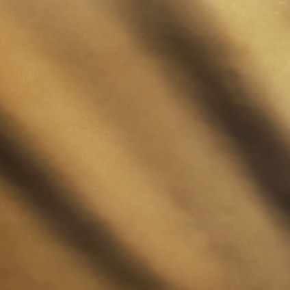 Zoom Triad Leather in Camel