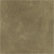 Mason Fern