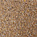 Gino Mustard